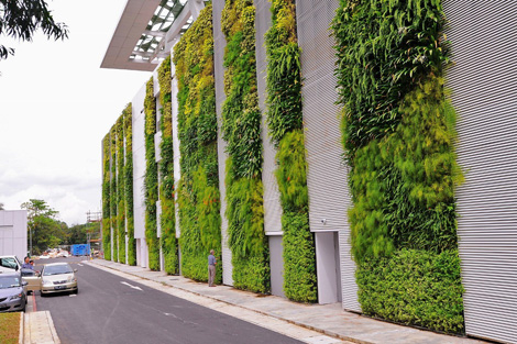 World’s Largest Green Wall Project - Exemplary Project | ODS