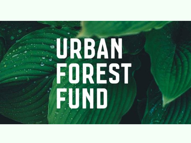 $1.2 Million Green Fund