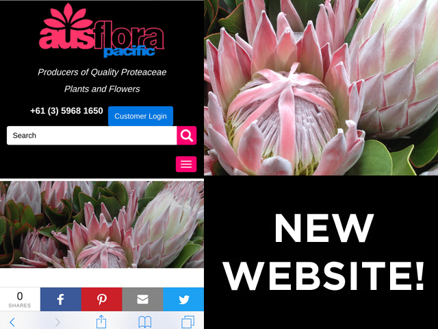 New Ausflora Pacific Website