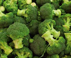 Plant Now- Broccoli