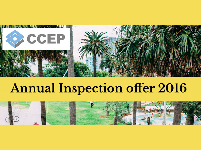 Annual Inspection Special Offer