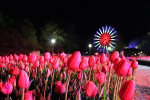 Floriade - More than a walk in the park