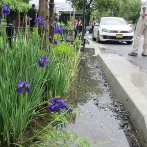 Street (Creeks) Ahead