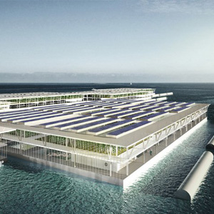 Are Floating Farms the Answer?