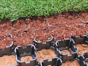 Grass Pavers – A Sustainable Alternative