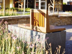 The Popularity of the Parklet