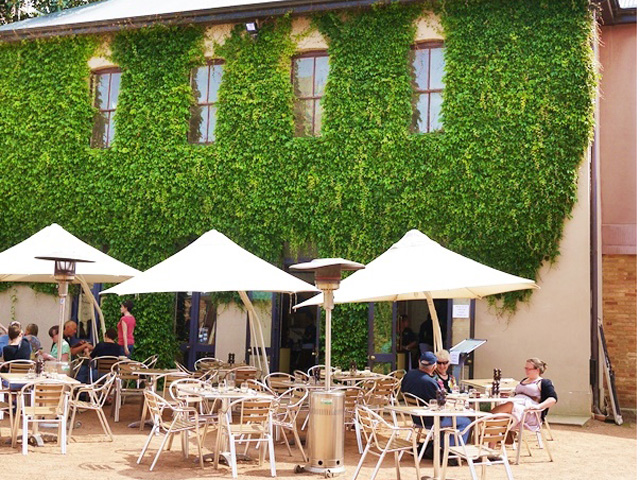 AILDM�s 20th Anniversary