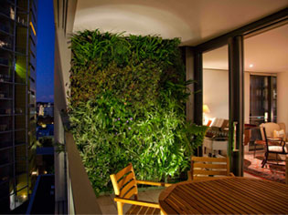 Green Walls - The new trend in apartment living