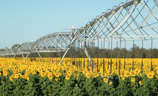 Irrigation Australia Regional Conference 2015 | Irrigation_1-2015041514290547718815 | ODS