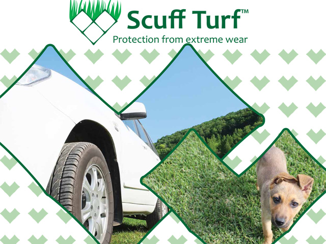 Scuff Turf� is Tough Turf | Ozbreed_Scuff_1_1 | ODS