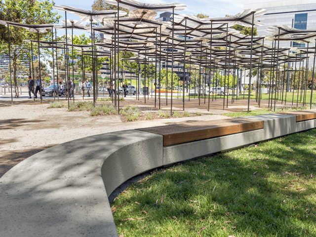 S.V.C Brings the Curves