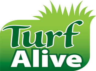 Turf gets exciting at Turf Alive 2011