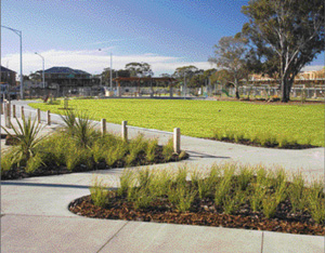 Setting new standards