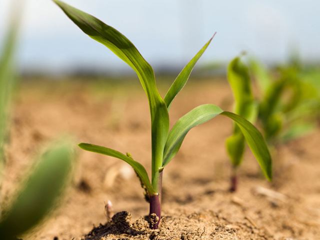 Record Breaking IA Conference and Exhibition