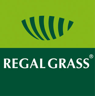SILK  Regal Grass alternative to natural turf