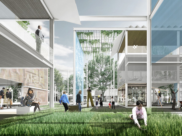 Sustainable Neverland