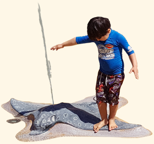 Creatures from the Deep | sprayground3 | ODS