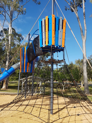 Lions Park a Roaring Success | willplay5-2016090714732074227476 | ODS